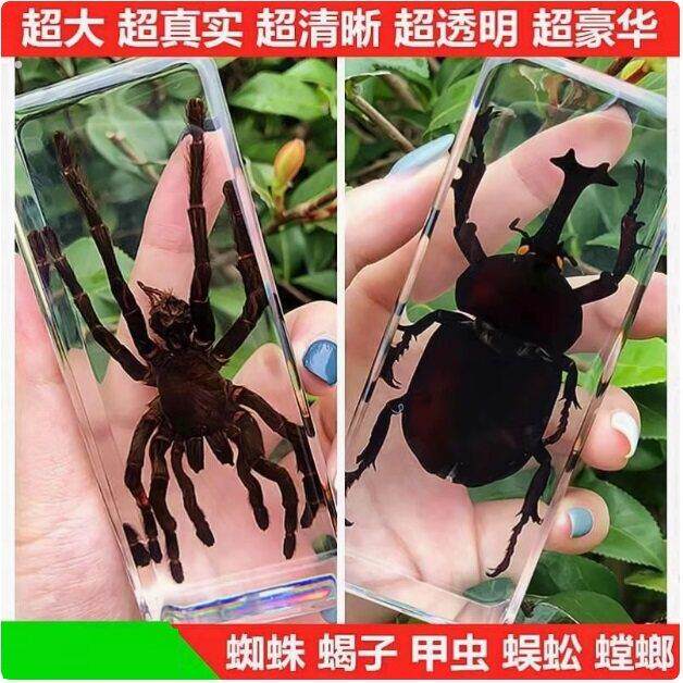 仿真真实树脂昆虫标本真虫甲虫蜘蛛锹甲天牛蝎子螳螂蜥蜴琥珀标本