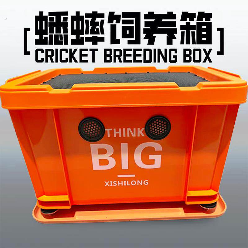 蟋蟀蟑螂杜比亚饲养箱爬宠白蟋蟀养殖盒针头蟋蟀养殖盒油葫芦