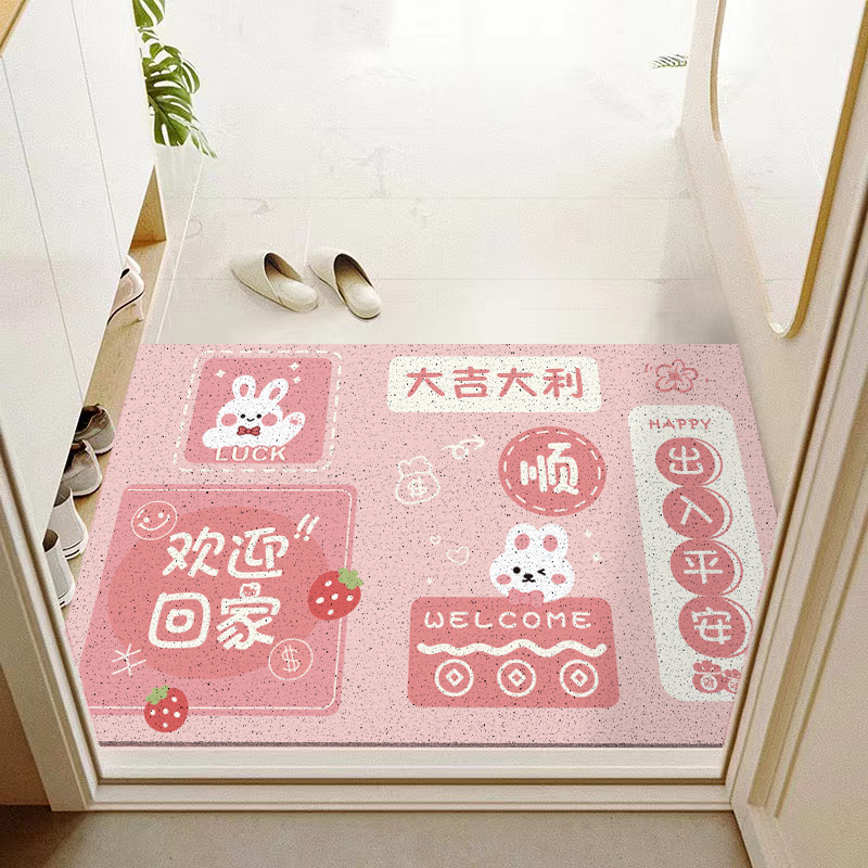 丝圈地垫家用门口脚垫玄关地毯