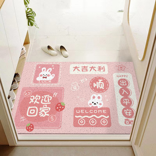 丝圈地垫家用门口脚垫玄关地毯
