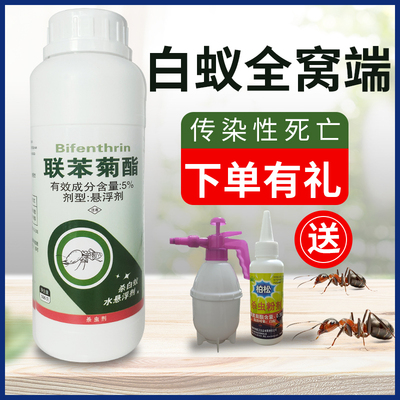 全窝端白蚁传染性液体装修预防