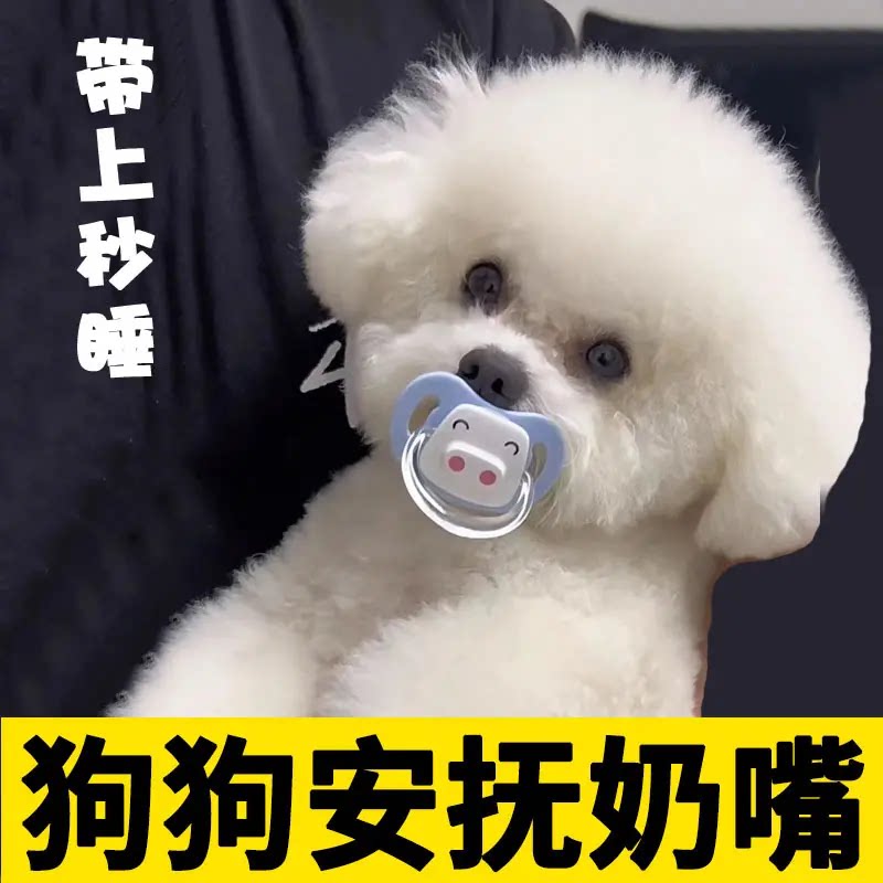 比熊犬专用奶嘴狗狗安抚小狗宠物玩具磨牙生活用品断奶小体幼犬咬