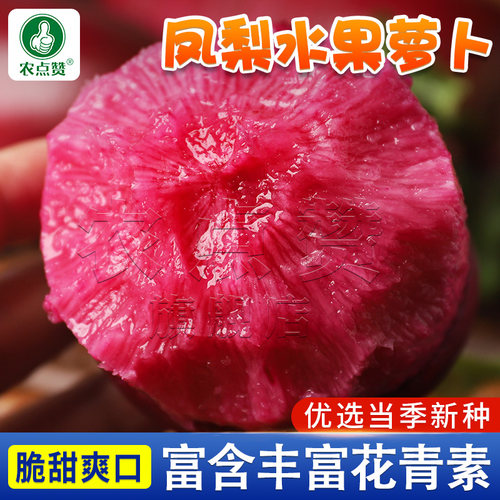 [红萝卜种子大全]凤梨萝卜种子
