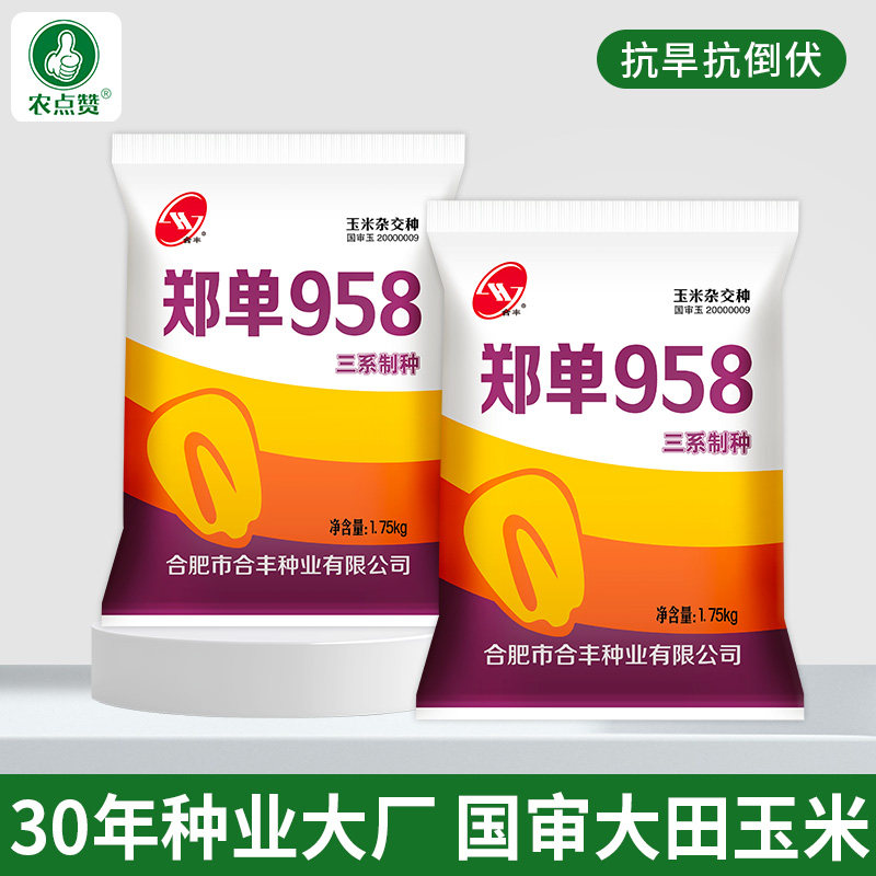 [大田]郑单958玉米种子1亩3.5斤国审官方正品鲁单981苞谷玉米籽种,农用物资,玉米种子/种苗,淘宝优惠券,粉丝福利购,淘宝优惠卷