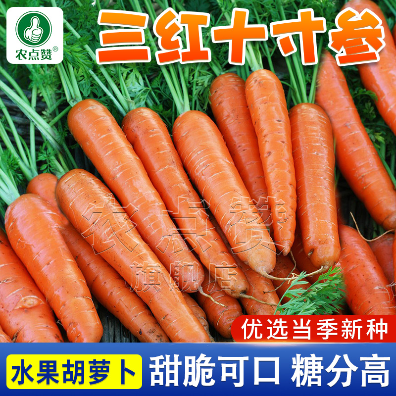 [30年种业大厂]三红胡萝卜种子