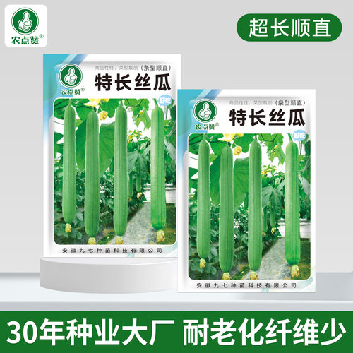 [30年种业大厂]特长丝瓜种子