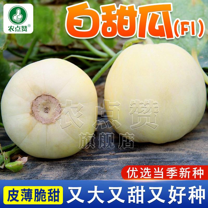 白玉妃香瓜种子大田种白色甜瓜种籽脆瓜蜜瓜种孑白皮白肉甜瓜籽种