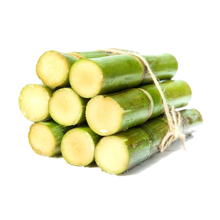 超甜甘蔗种子青皮高粱小甜杆种籽北方小甘蔗种孑茅根薄皮高粱杆籽