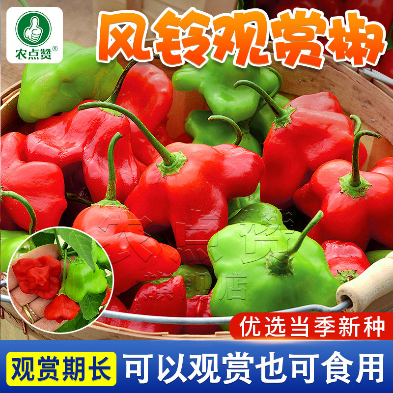 可观赏辣椒种子灯笼椒种籽食用辣椒种孑风铃椒元宝椒乳椒加拿大椒