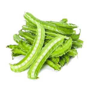 [大田种植]四棱豆种子四角豆角皇帝豆种籽四季龙豆盆栽豆角种籽孑