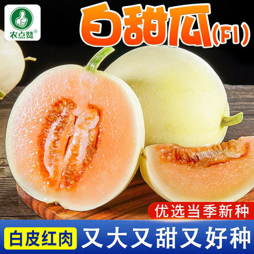 [甜瓜种子大全]各种香瓜籽种都有