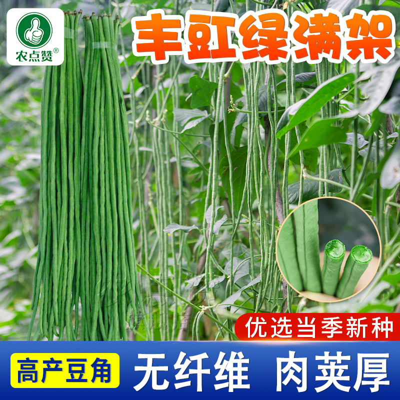 [高产]绿满架长豆角种子