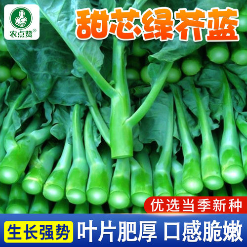 [30年种业大厂]甜芯绿芥蓝种子