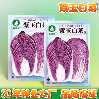 [富含花青素]紫玉白菜种子