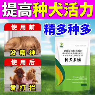 公狗公猫促情狗公多情不爬跨狗精力旺公猪种猪公羊专用弱精死精