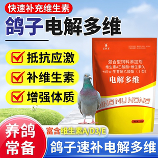 电解多维鸽子专用补充营养抗应激增强体质种鸽赛鸽恢复体能专用