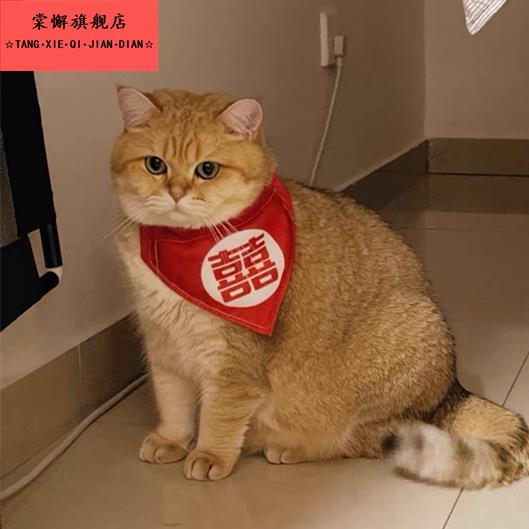 狗礼参加婚衣狗服宠物猫咪结婚西服礼服西衣服装饰喜庆泰装迪
