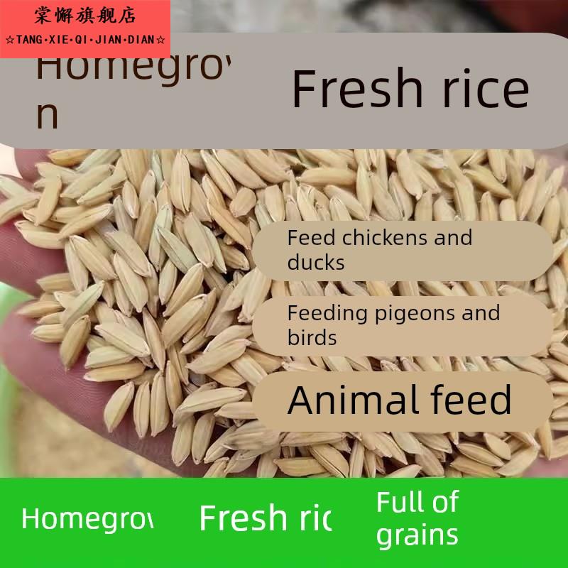 带壳稻谷饲料50斤喂鸡鸭鹅鸽子鸟食圈l养禽类新原粮宠物50KG包邮