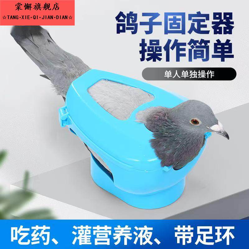 鸽子固定器信鸽用品用具赛鸽固定盒鸽具打针喂药固定架轻松戴脚环