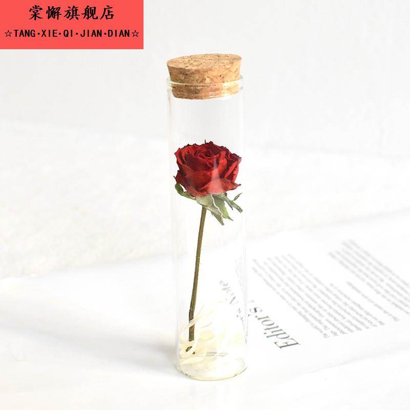 玫瑰真干花diy试管标本ins摆件满天星许愿瓶生日礼物纪念意义花束