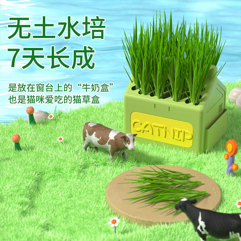 新款水培猫草盒猫咪零食无土盆栽猫草种子猫薄荷去毛球猫草盆