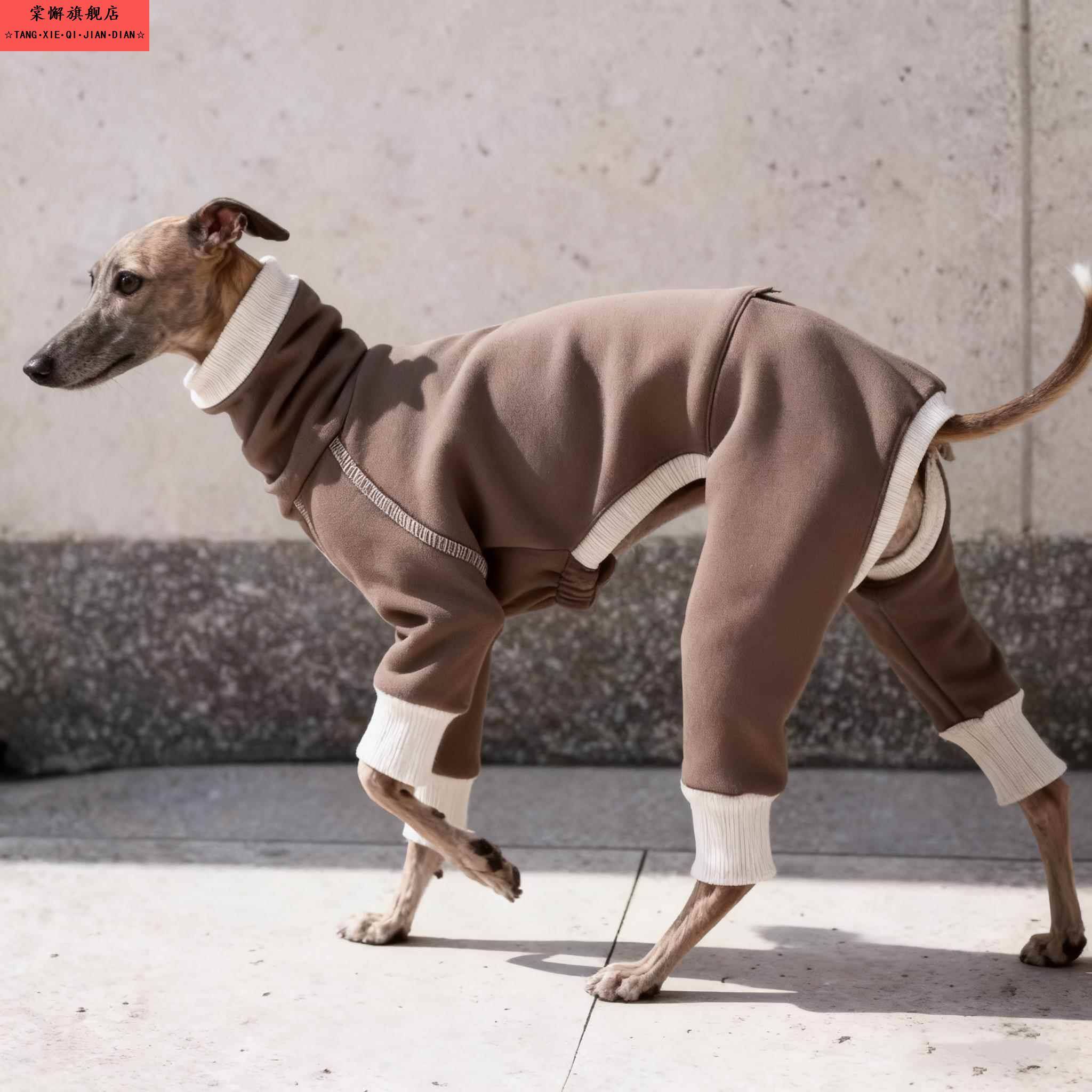 意大利小灵缇衣服惠比特过冬款纯棉中高领四脚衣细狗贝灵顿犬衣服