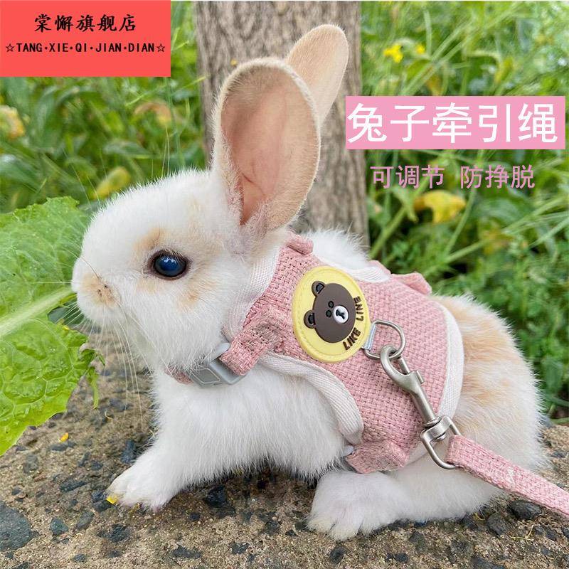 兔子牵引绳狗狗猫咪小型犬衣服胸抱婴袋背心式卡通熊小型宠物外出