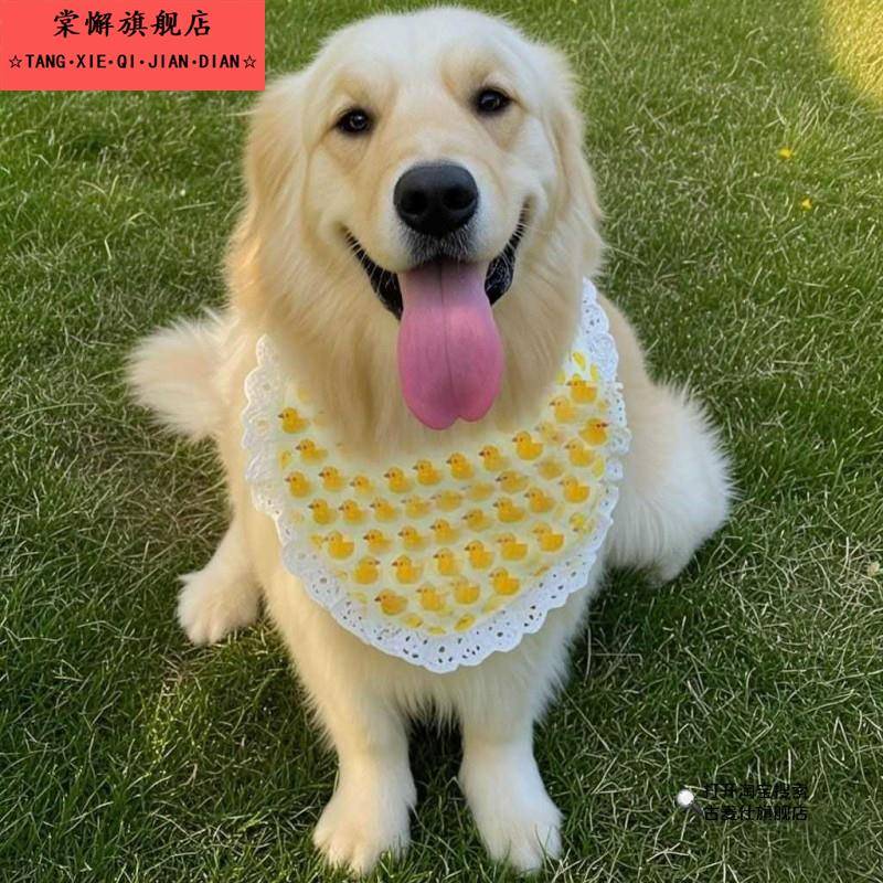 宠物狗口水围巾小中大型犬围兜萨摩耶可爱金毛哈士奇阿拉斯加围脖