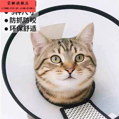 伊丽莎白圈舒适防舔防咬防水防抓耻辱圈猫咪狗狗宠物绝育术后头套
