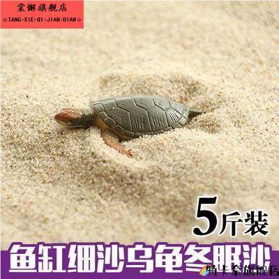 养乌龟的冬眠产蛋沙下蛋沙乌龟细沙土鱼缸沙龟蛋孵化专用细沙沙子