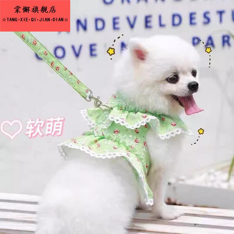 狗狗衣服带牵引绳宠物胸抱婴袋牵绳小碎花蕾丝泰迪比熊博美遛狗绳
