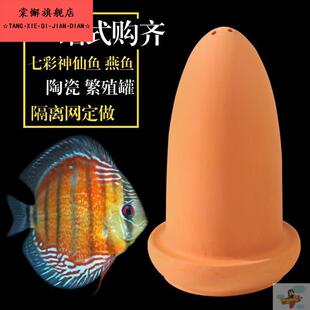 七彩神仙鱼繁殖桶产卵罐燕鱼孵化器神仙鱼产卵桶陶罐紫砂隔离网罩