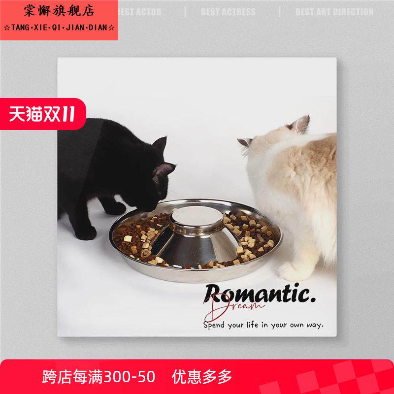 不锈钢花瓣猫碗多猫家庭大号分食盆幼猫汤盘防打翻宠物大碗猫盘子