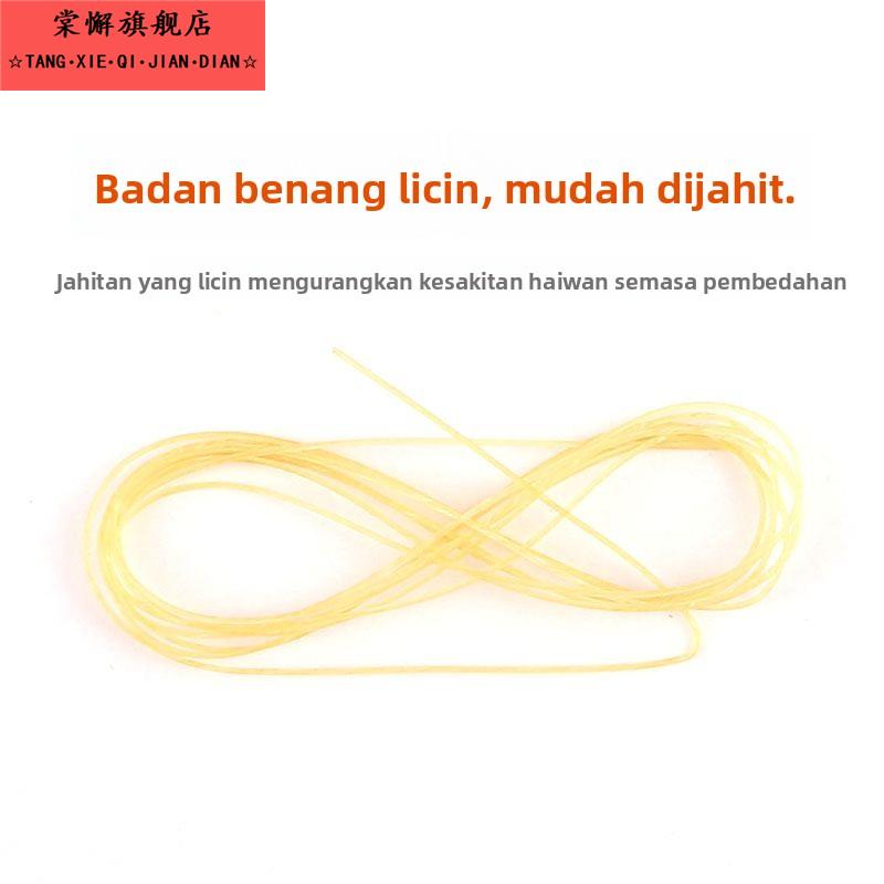 兽用缝合线外科手术免拆可吸收羊肠线宠物用缝合线可吸收性肉线