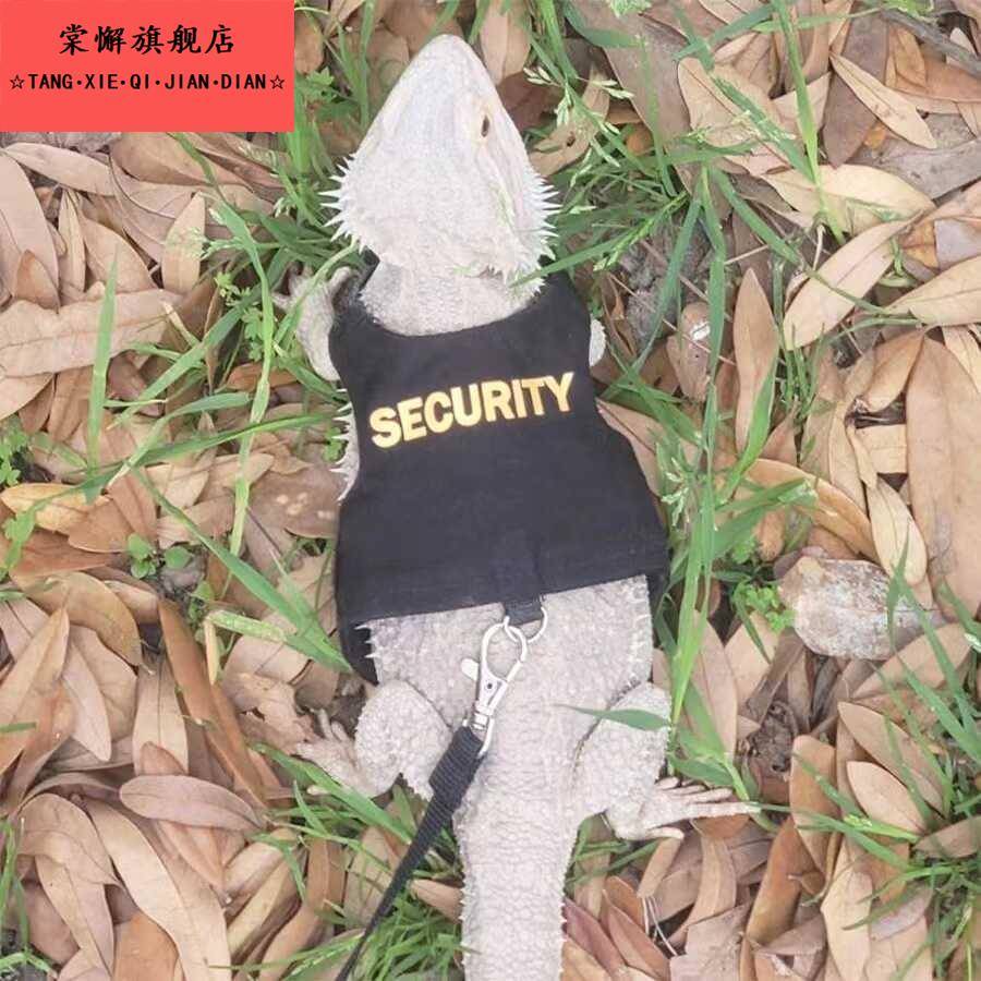 鬃狮蜥蜥蜴衣服守宫牵引绳帽子爬宠外出变身装宠物鳄鱼守宫小衣服