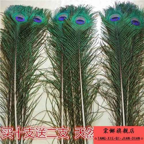 家居饰品摆件孔雀羽毛纯天然真孔雀毛花瓶装饰品孔雀翎尾婚庆羽毛