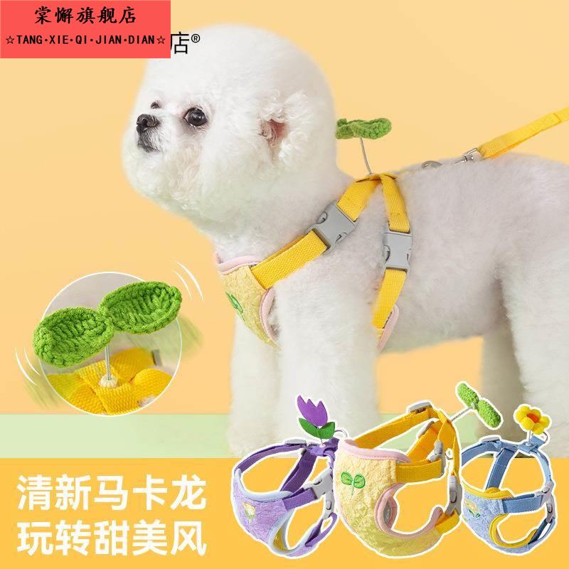 狗狗牵引绳夏季缤纷花朵胸背带中小型犬泰迪比熊外出宠物用品