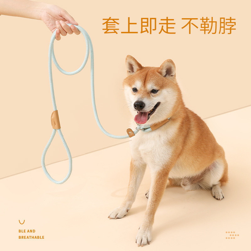 狗狗牵引绳防爆冲训练小中大型犬狗链项圈遛狗P链p绳宠物用品