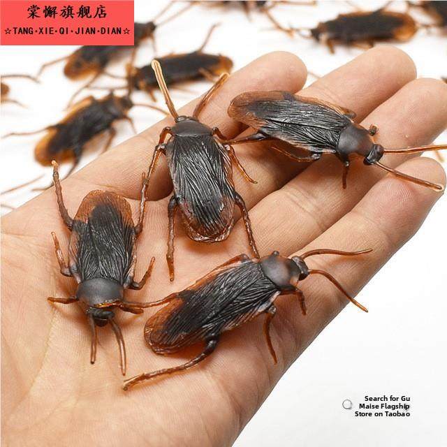 蟑螂玩具假蟑螂人造昆虫模型恶作剧小昆虫蟋蟀恶搞搞笑流行恐怖