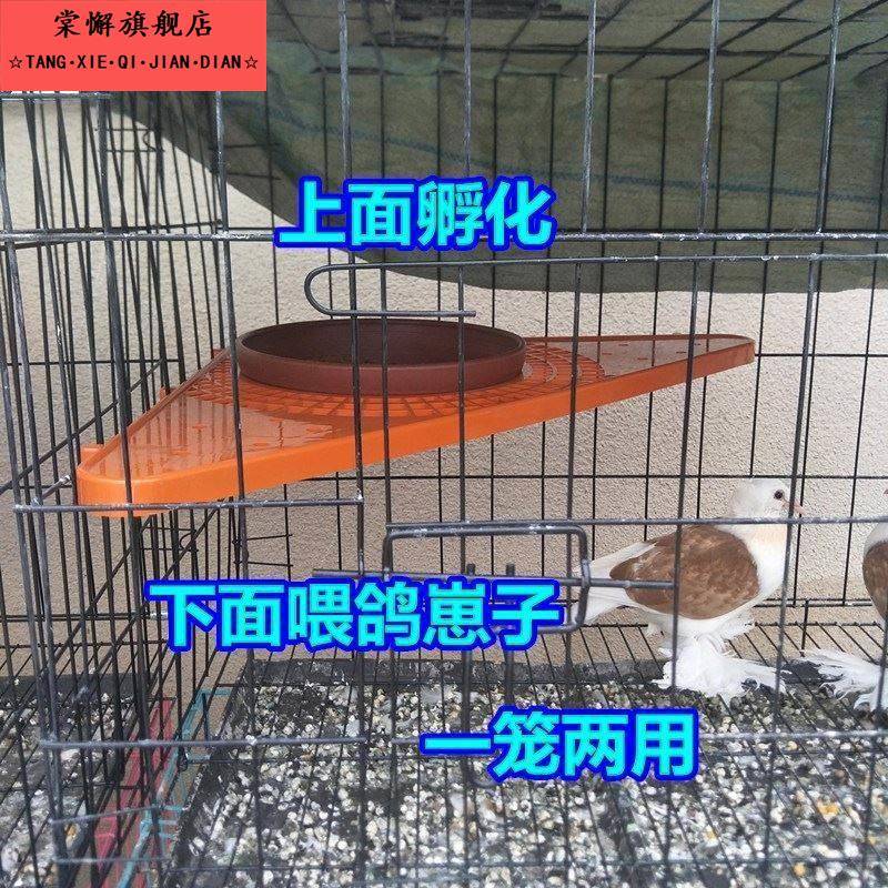 鸽子巢窝笼鸽子窝支撑架巢盆鸽窝支架笼子鸽窝孵蛋专用三角架子信