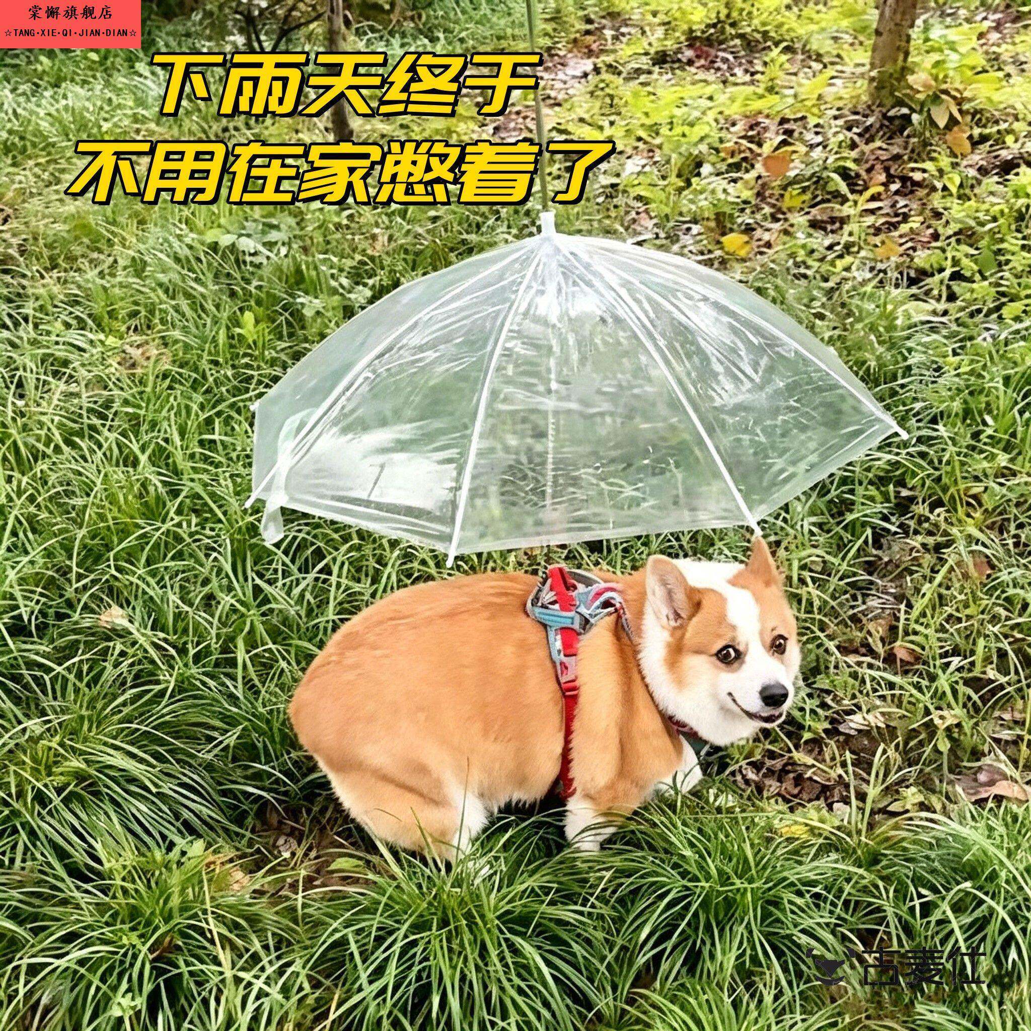 下雨天遛狗神器！宠物雨伞柯基中小型犬可携式透明防水伞带牵引狗