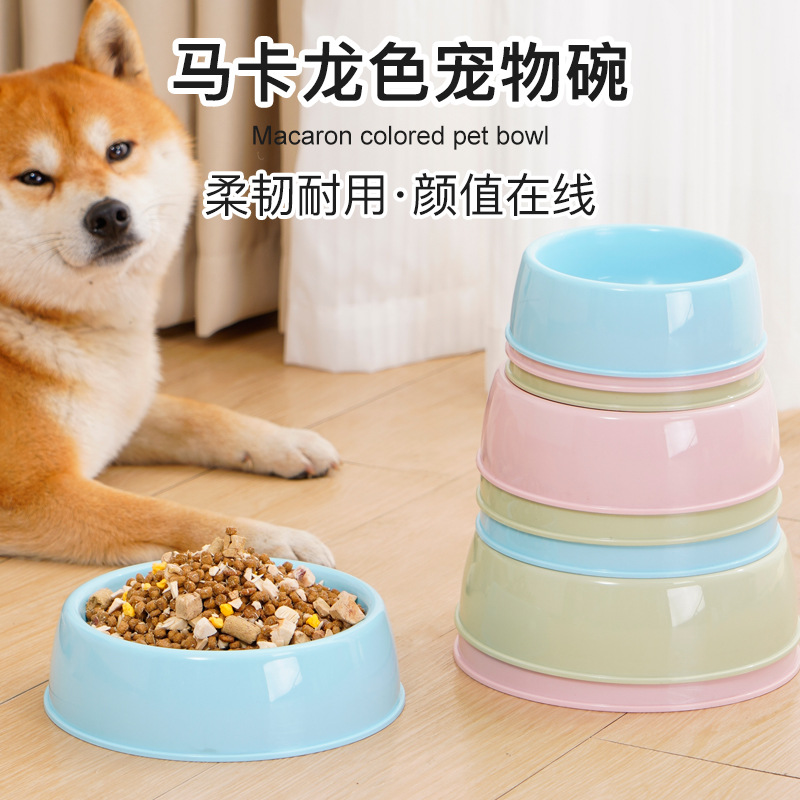 马卡龙色圆形宠物碗 经济型中小型狗狗食盆食具猫咪饭碗