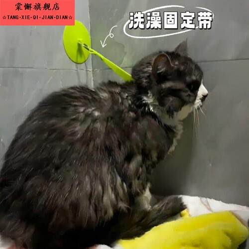 猫咪洗澡神器防抓宠物洗澡神器洗猫专用狗狗小猫洗澡固定器清洁带