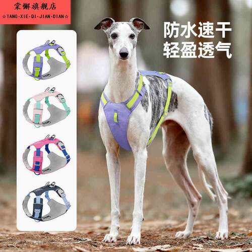 惠比特犬专用轻量狗狗胸背户细狗灵缇犬胸背带宠物牵引速干防挣脱