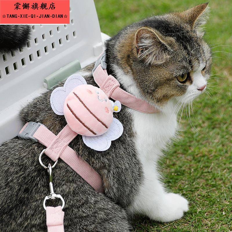 猫绳家用拴猫绳猫咪牵引绳防挣脱外出专用不勒脖可调节幼猫小狗狗