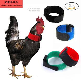 防鸡打鸣神器 防公鸡打鸣专用卡带鸡项圈防鸡鸭鹅神器不打鸣2支装