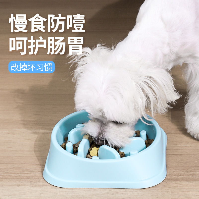 宠物慢食碗喂食器防噎慢食碗彩色实用用品狗碗狗狗食具缓食碗