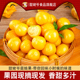 现货 当季 姑娘果新鲜云南特产水果黄金豆菇娘果灯笼果整箱