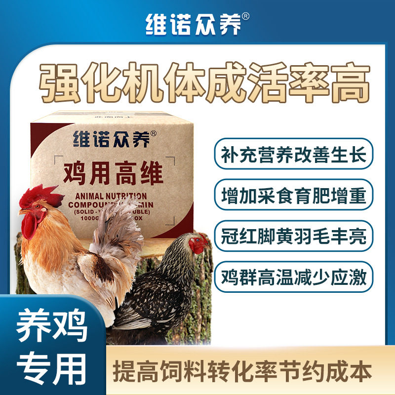 鸡用高维多种维生素预混料诱食上料促长催肥减少应激鸡饲料添加剂
