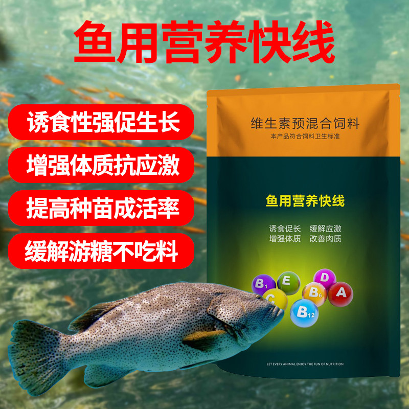 鱼用养殖鱼饲料添加剂多种复合维生素诱食促进长水族观赏鱼多维